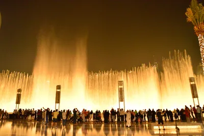 DSC_4164 (Large).JPG